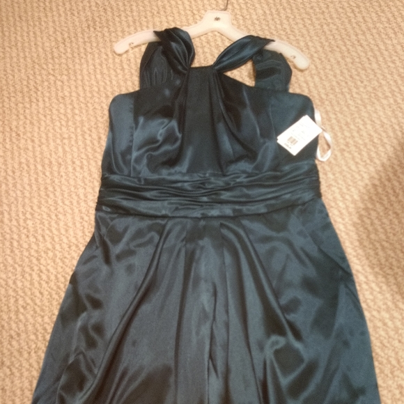 Formal/Cocktail dress - Picture 3 of 3